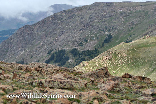 Click Picture to send as an  E-PostCard 66k 550x367